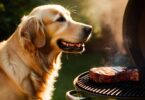 Top 10 Dog-Friendly Foods You Can Grill This Summer