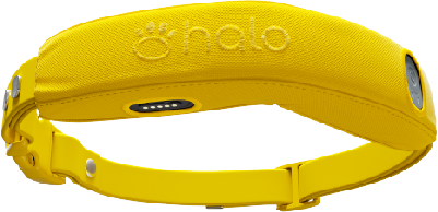 Halo Collar 5 GPS Wireless Dog Fence