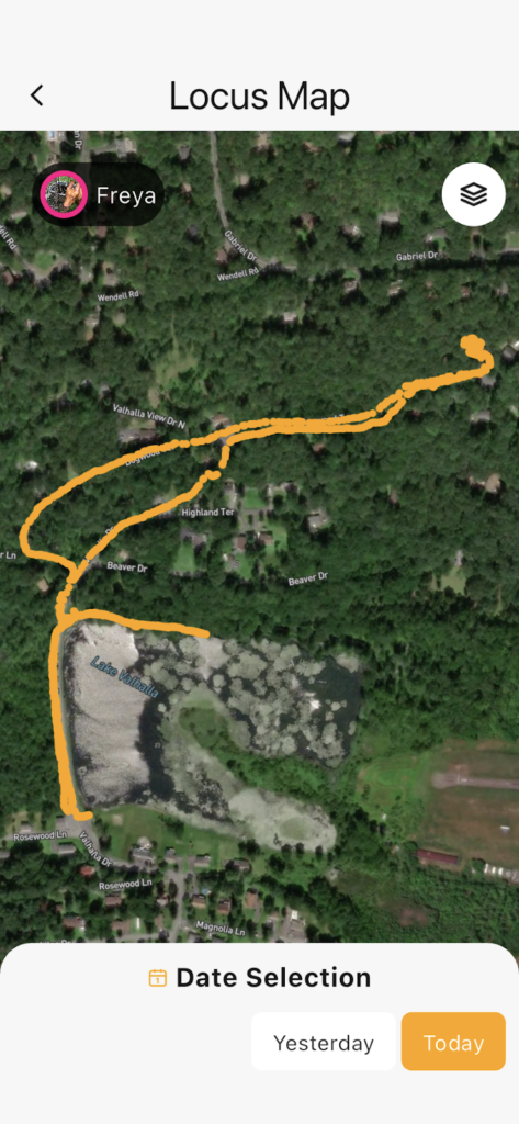 Historical Tracking Data Satellai collar