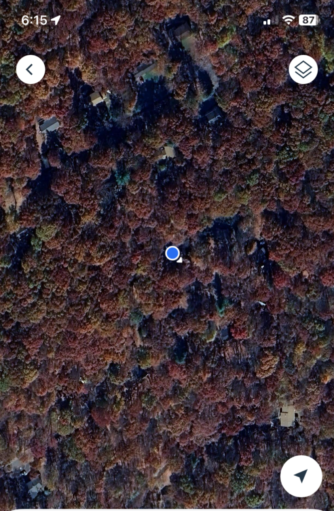 GPS location PetSafe App