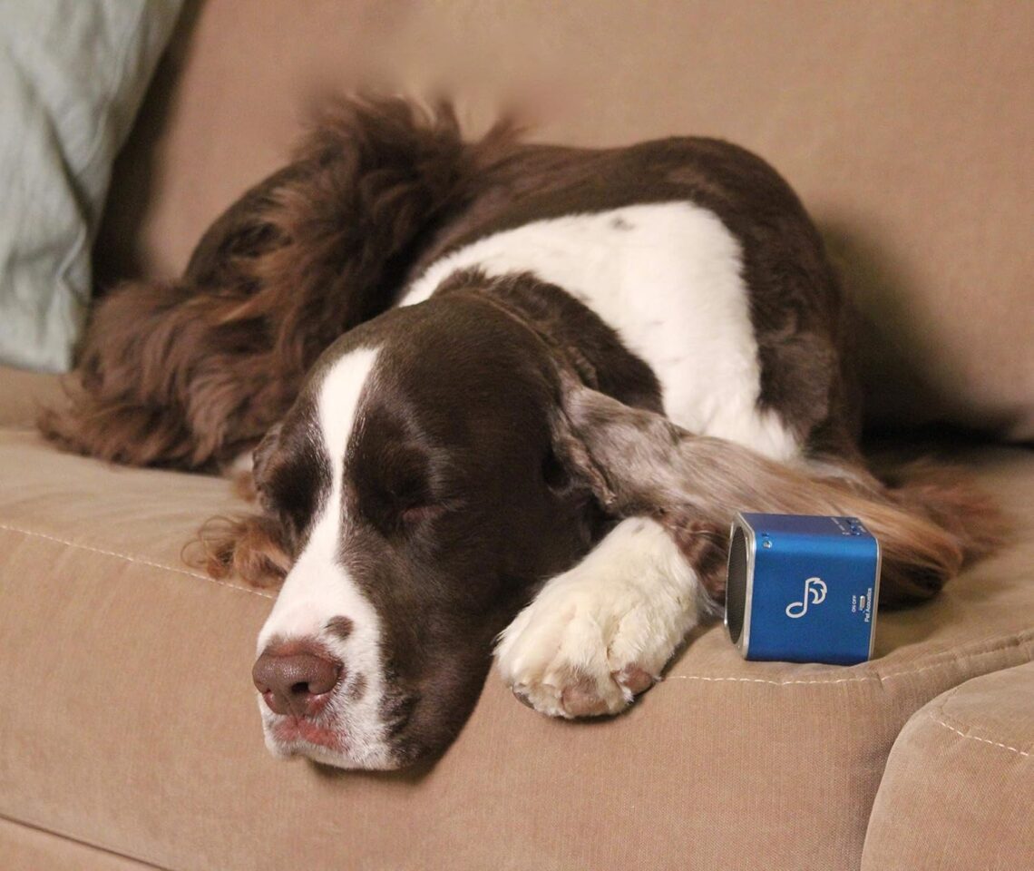 Pet Acoustics Pet Tunes