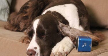 Pet Acoustics Pet Tunes