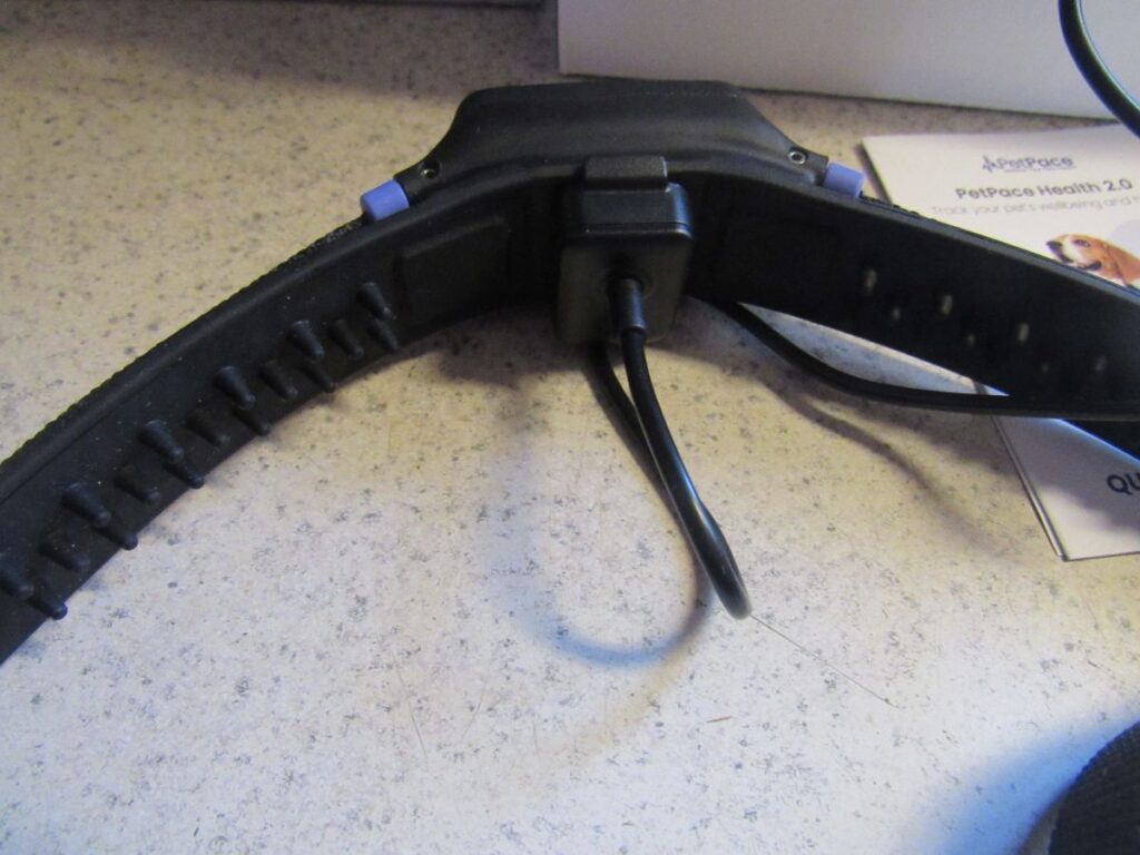 PetPace Charger