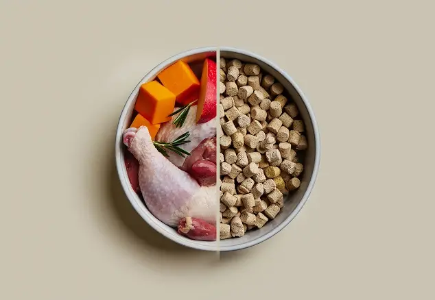 Premium Freeze-Dried Raw Dog Food Recipes | We Feed Raw