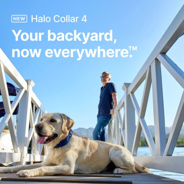 This Father’s Day, Give the Gift of Peace of Mind with the Halo Collar 5
