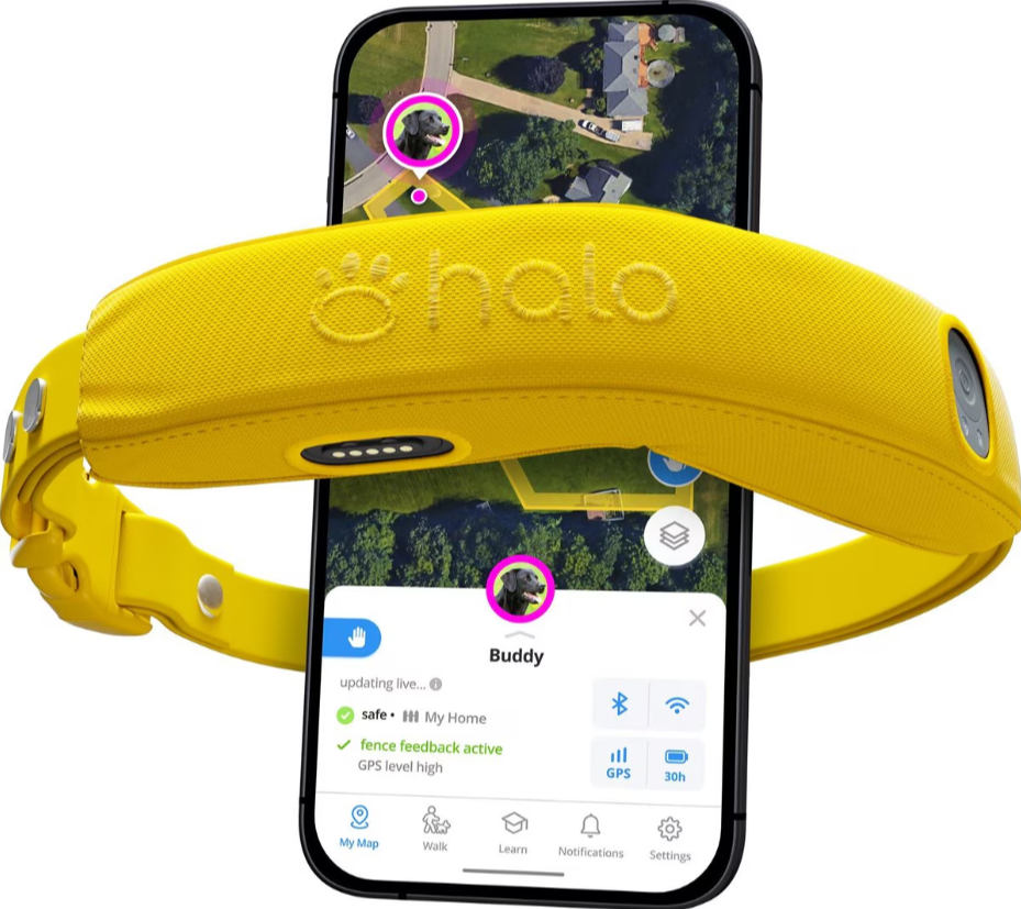 Halo Collar 5 GPS Wireless Dog Fence
