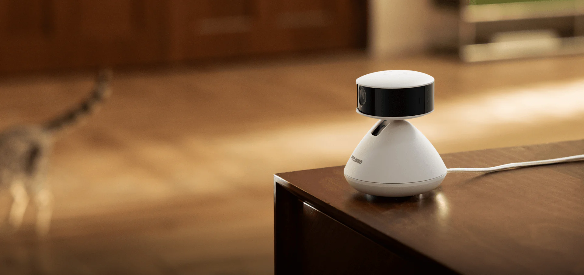 Scout Smart Camera by PETLIBRO