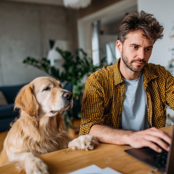 Best GPTs for Dogs