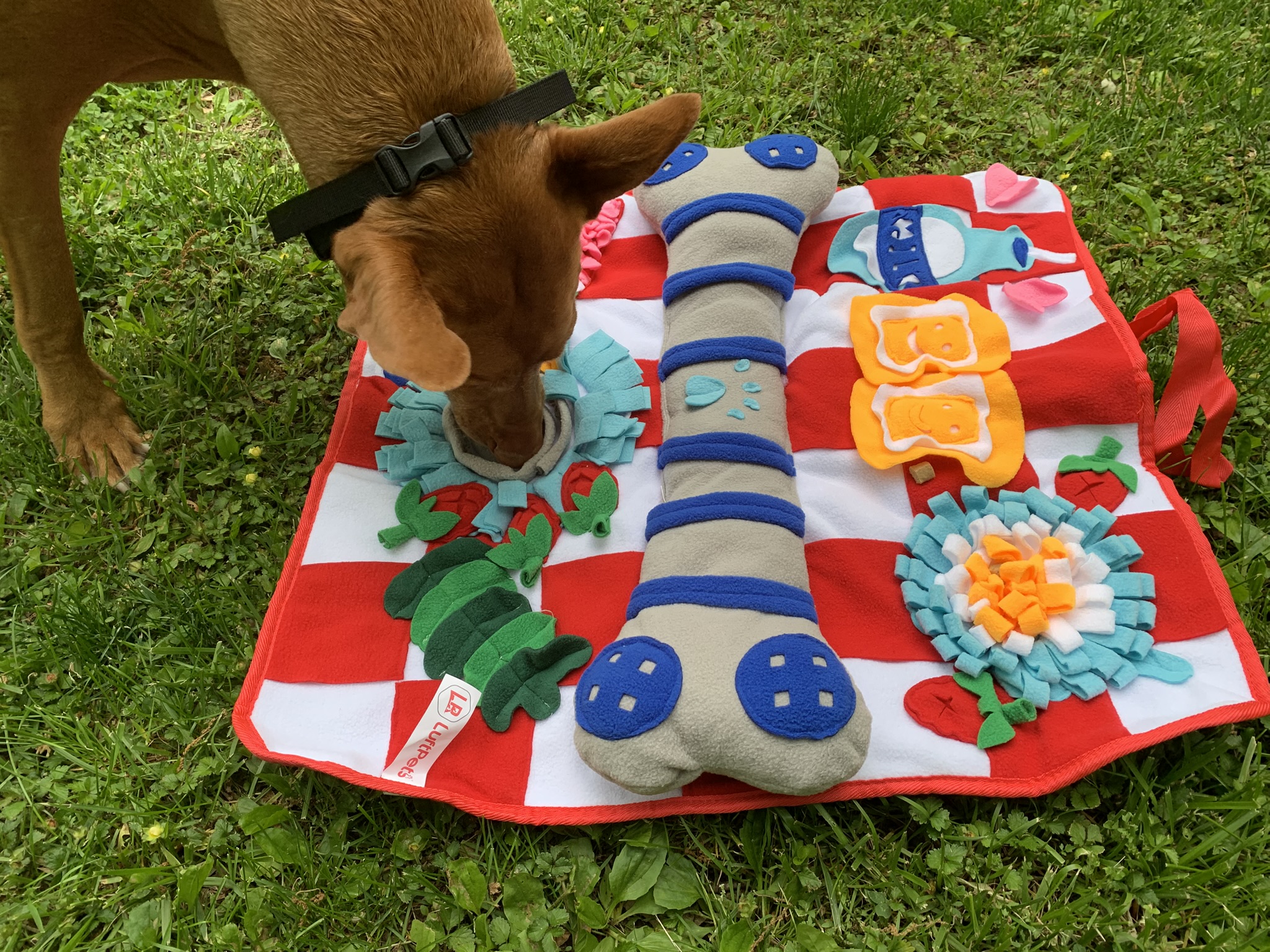 LUFTPETS Soft Snuffle Mat for Dogs