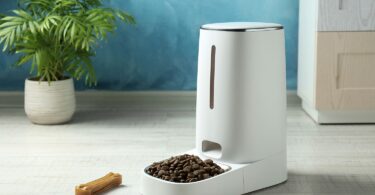 Smart Ways to Portion Dog Food with Wi-Fi Feeders