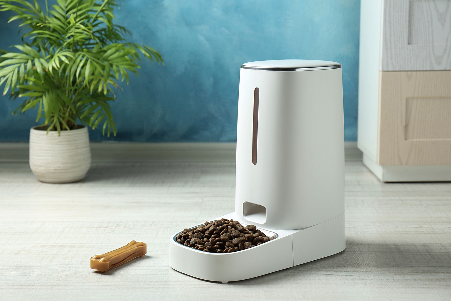 Smart Ways to Portion Dog Food with Wi-Fi Feeders
