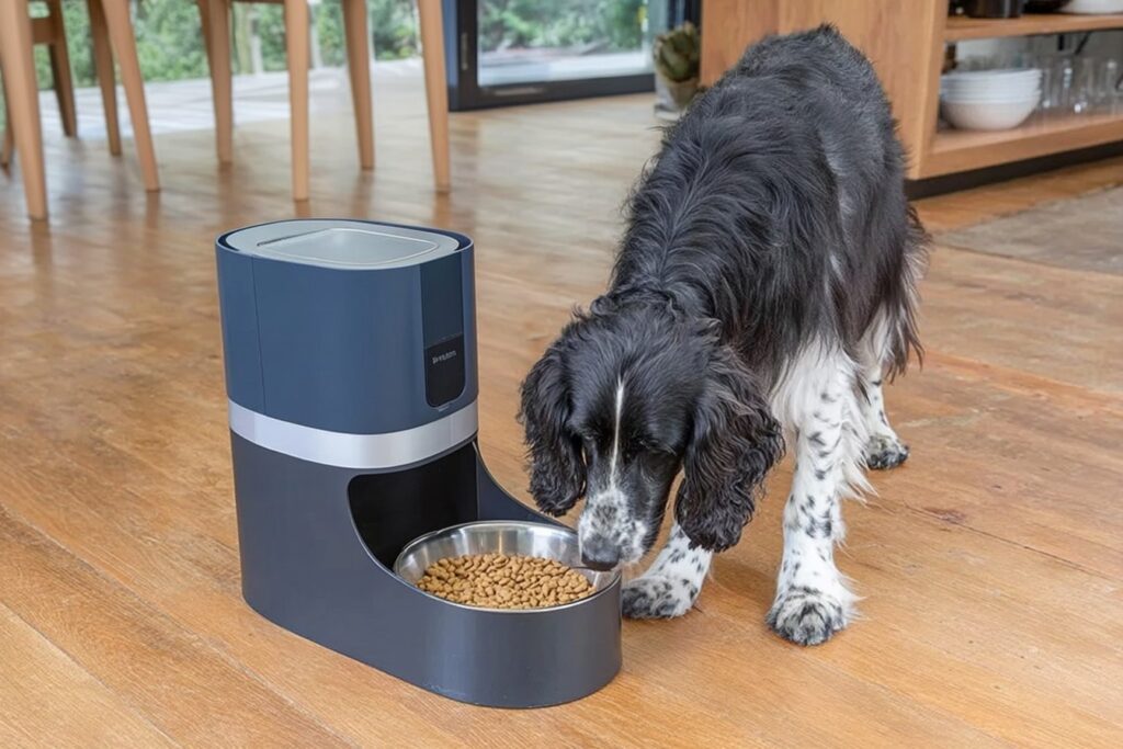 Smart Ways to Portion Dog Food with Wi-Fi Feeders 02