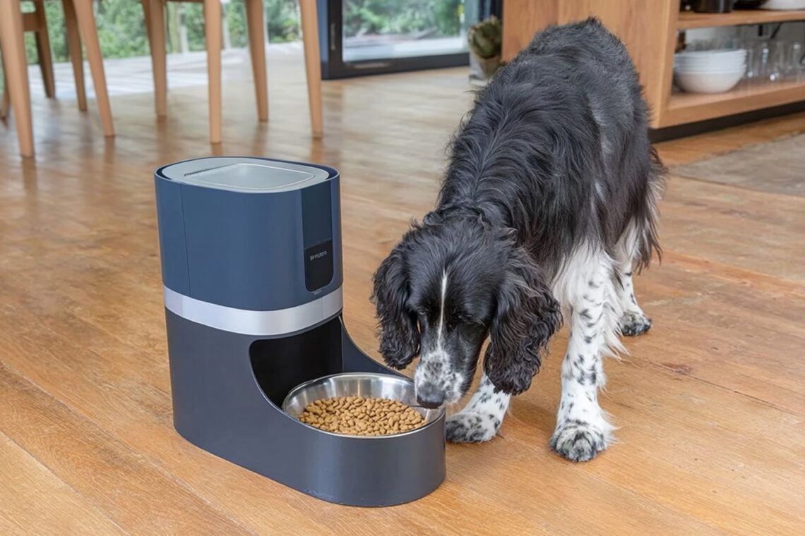 Smart Ways to Portion Dog Food with Wi-Fi Feeders 02