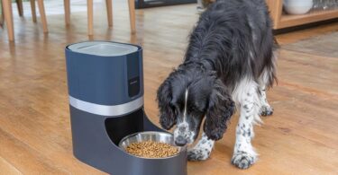 Smart Ways to Portion Dog Food with Wi-Fi Feeders 02