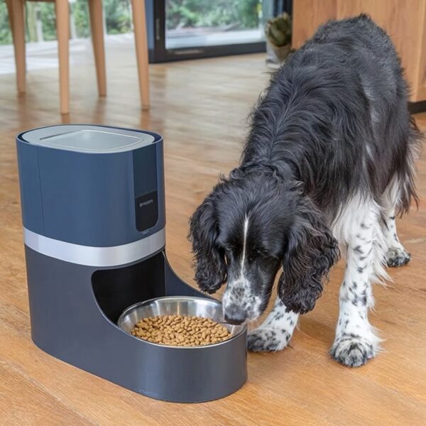 Smart Ways to Portion Dog Food with Wi-Fi Feeders 02