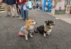 SuperZoo 2025 Review