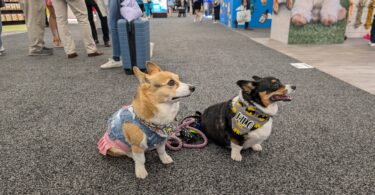 SuperZoo 2025 Review