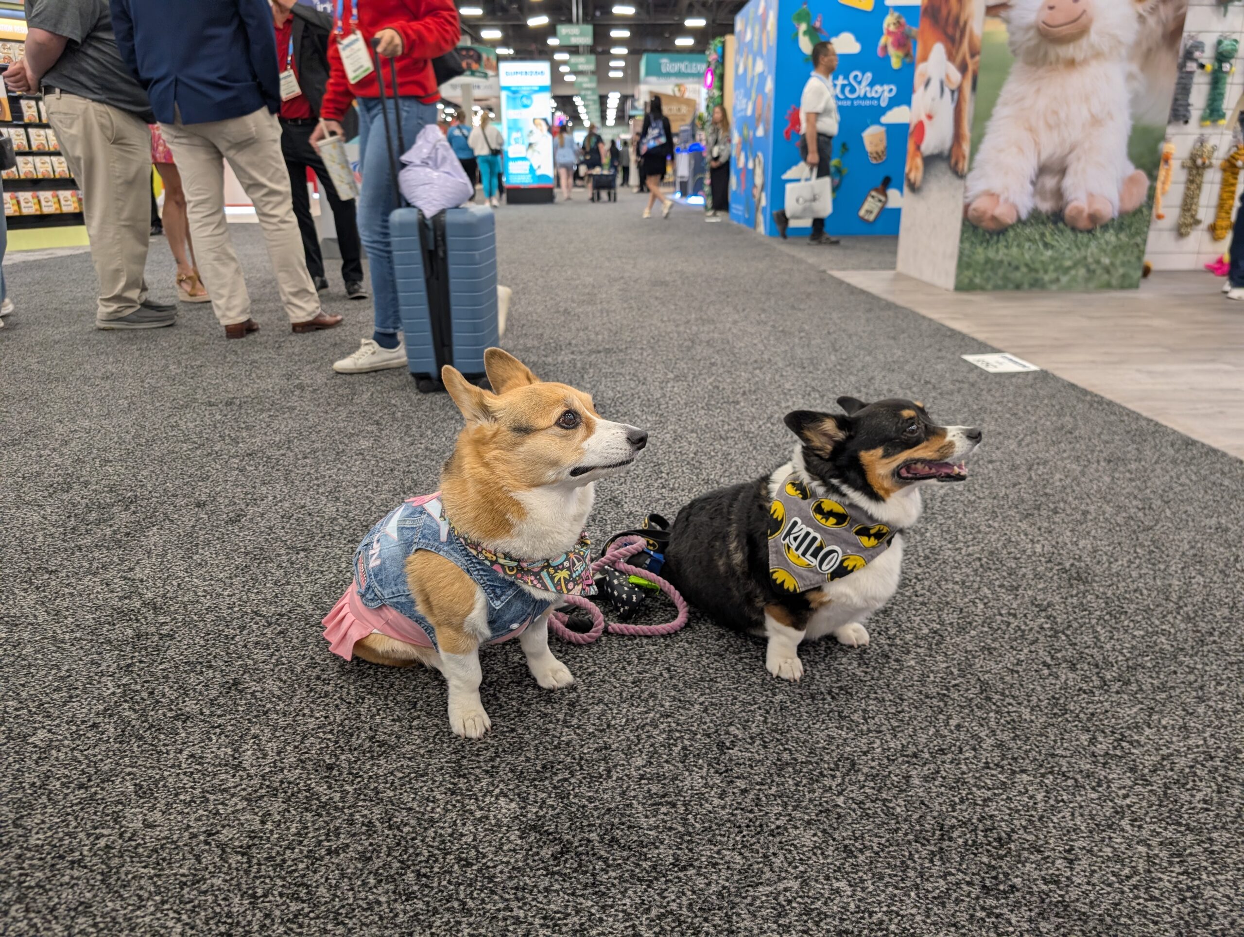 SuperZoo 2025 Review