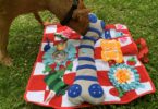 8 Brilliant Dog Mental Stimulation Ideas for Busy Pet Parents