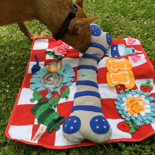 8 Brilliant Dog Mental Stimulation Ideas for Busy Pet Parents