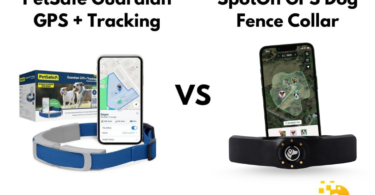 PetSafe Guardian GPS + Tracking Vs. SpotOn Dog Collar: Which Should You Choose?