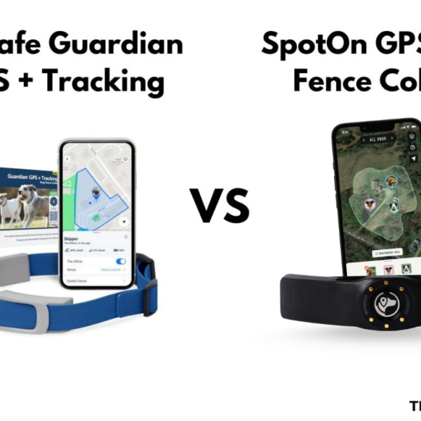 PetSafe Guardian GPS + Tracking Vs. SpotOn Dog Collar: Which Should You Choose?