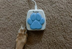 iPupPee Review: Can a Button Really Help Your Dog Talk to You?