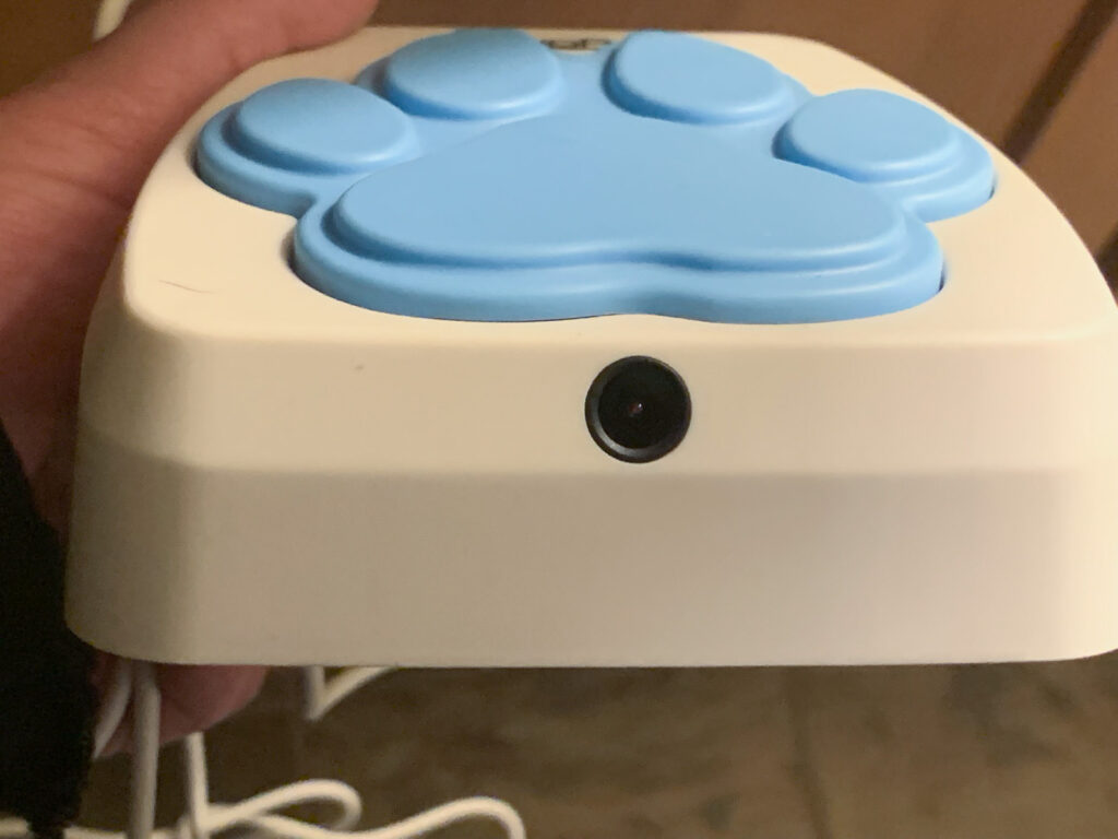iPupPee Review: Can a Button Really Help Your Dog Talk to You?