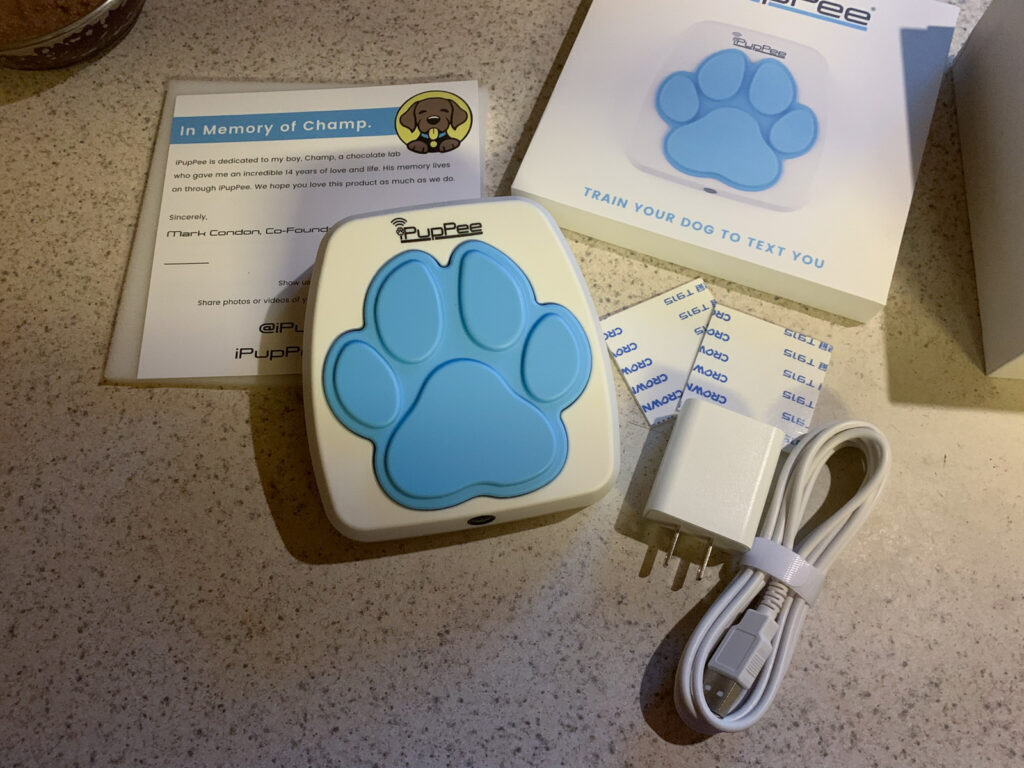 iPupPee Review: Can a Button Really Help Your Dog Talk to You?
