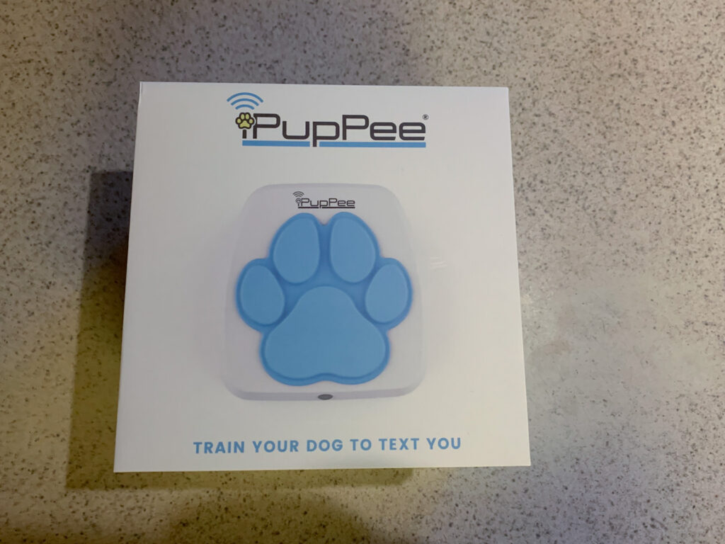 iPupPee Review: Can a Button Really Help Your Dog Talk to You?