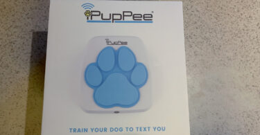 iPupPee Review: Can a Button Really Help Your Dog Talk to You?