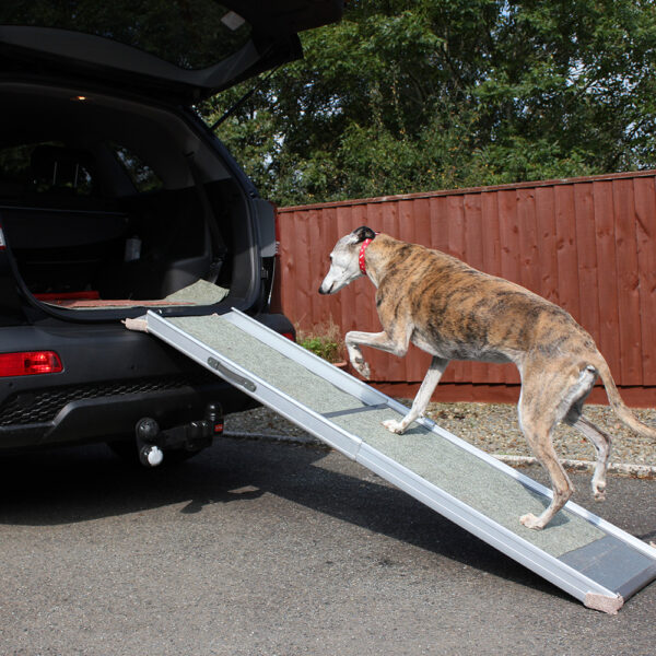 9 Best Compact Dog Ramps for Cars