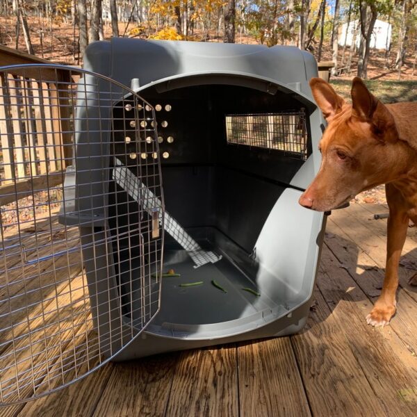 Petmate Sky Kennel Review