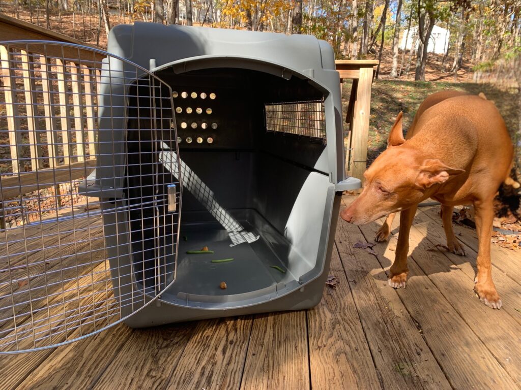 Petmate Sky Kennel Review