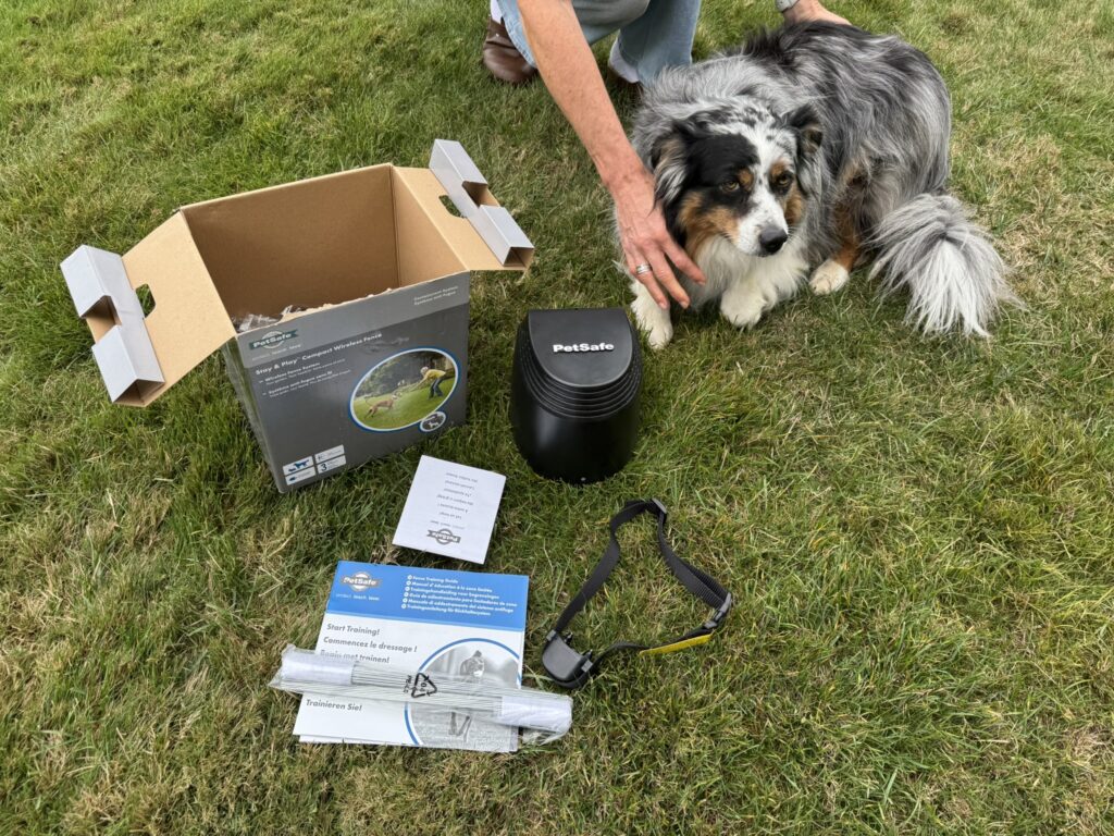 Stay & Play® Compact Wireless Fence