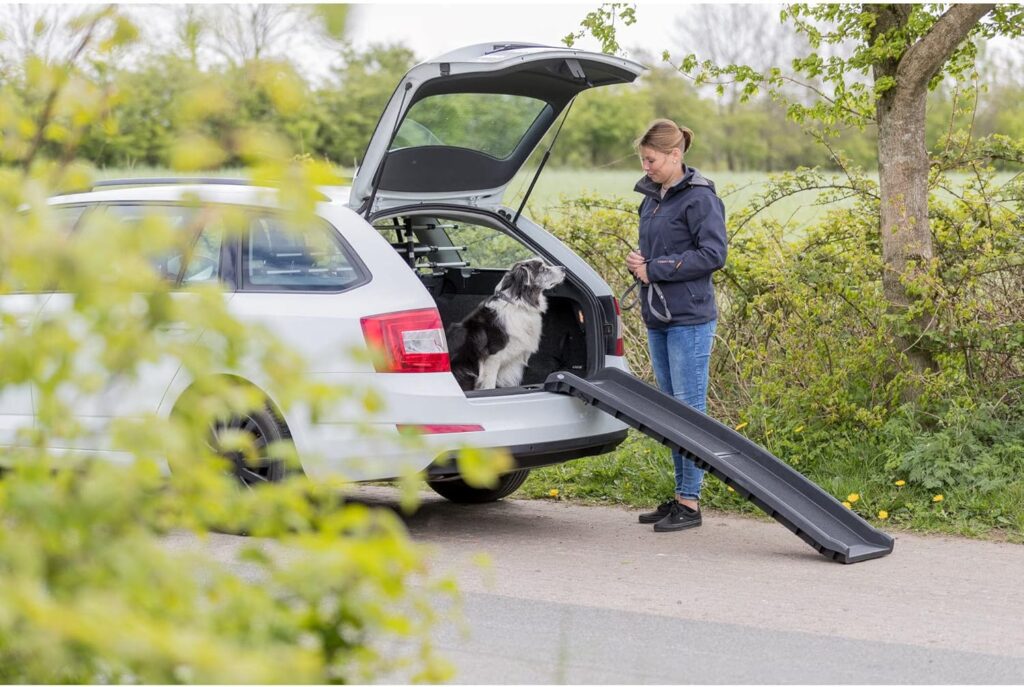 TRIXIE Lightweight Foldable Dog Ramp