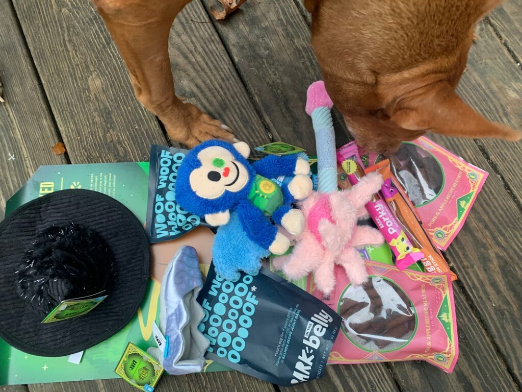 BarkBox Dog Subscription Boxes