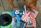 BarkBox Dog Subscription Boxes