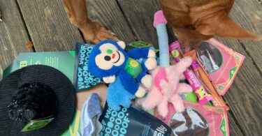 BarkBox Dog Subscription Boxes