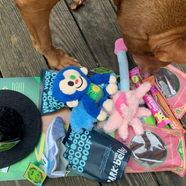 BarkBox Dog Subscription Boxes