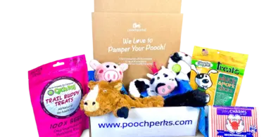 Pooch Perks Dog Box