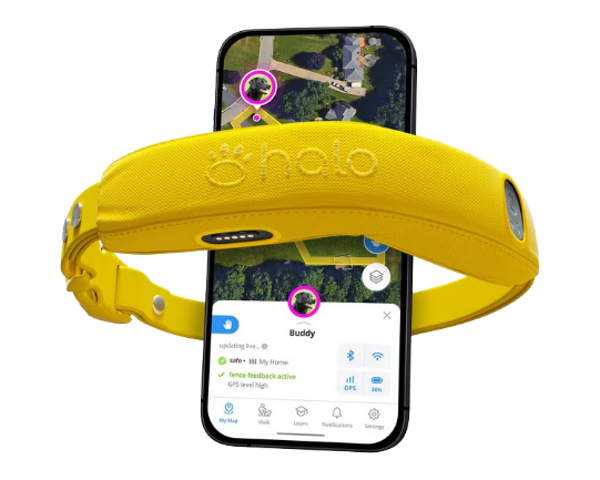 Halo Collar 5 GPS Wireless Dog Fence