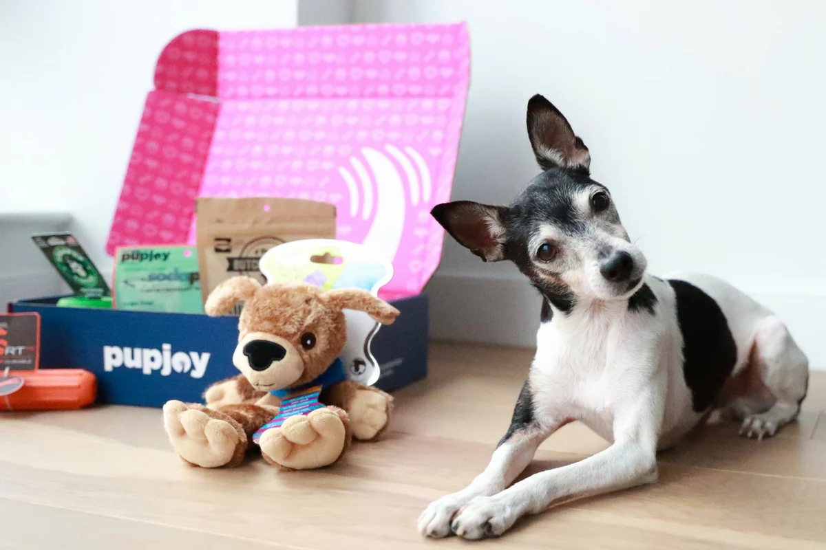 Monthly PupJoy Power Chewers Box, Treats & Toys