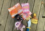Dog toys that last super chewer barkbox