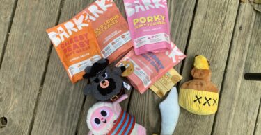 Dog toys that last super chewer barkbox