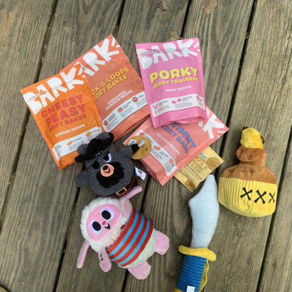 Dog toys that last super chewer barkbox