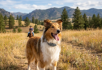 GPS dog collar in a rural setting
