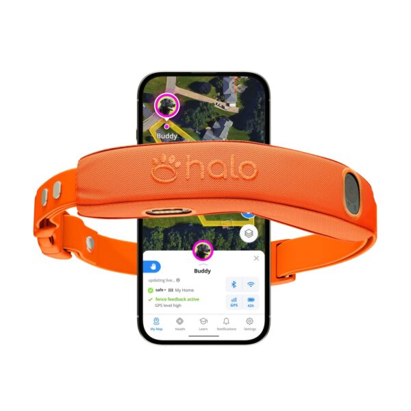 How to Find Your Dog in the Snow: GPS Tracking & Halo Collar’s Blaze Orange Safety 