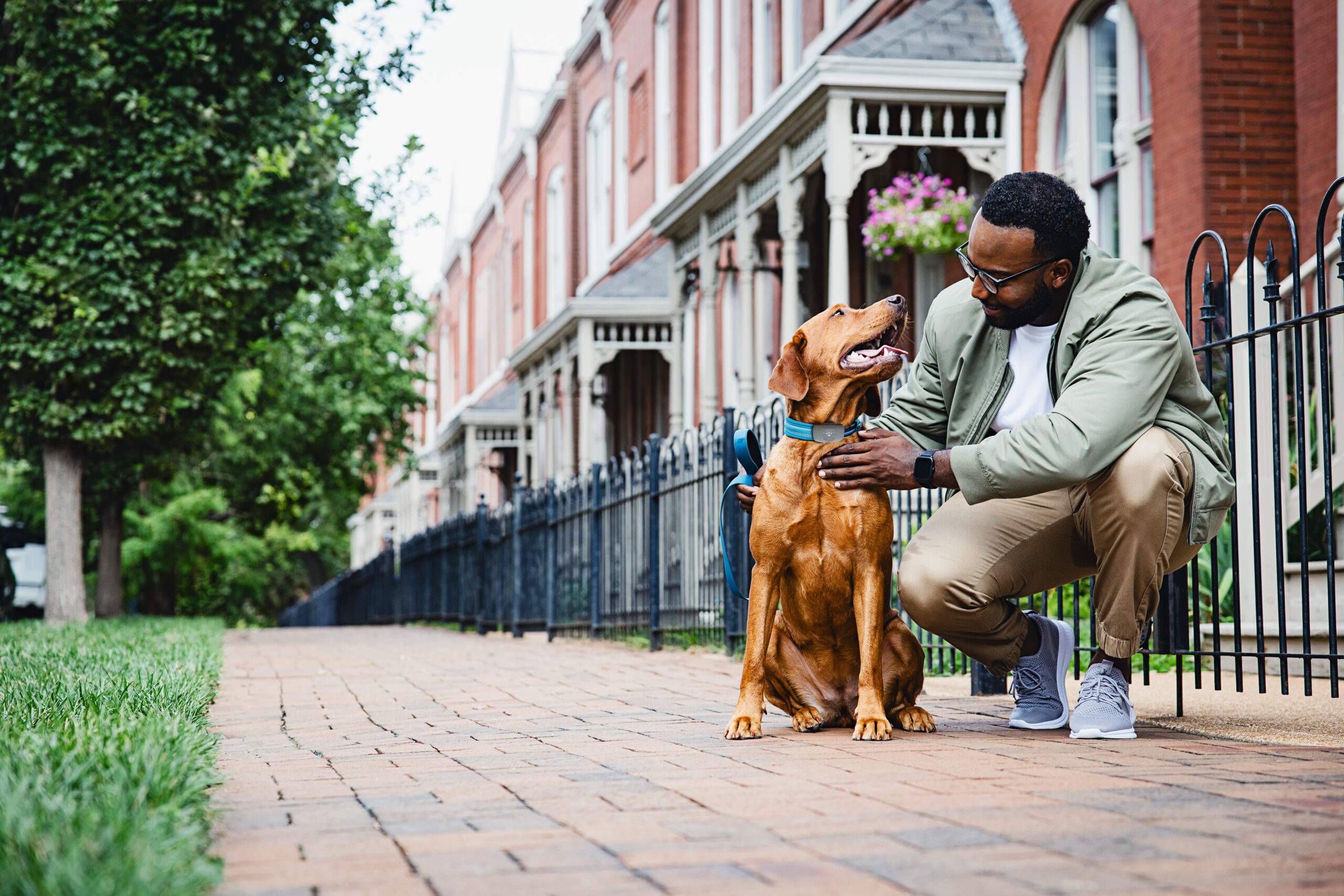 Petivity Smart GPS + Activity Tracker for Dogs