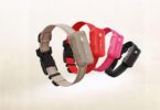 SATELLAI Collar Go Smart GPS Dog Collar with Live Tracking & Health Monitoring